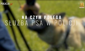 Plakat z napisem &quot;Na czym polega służba psa w policji&quot;