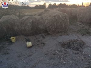 Bele słomy przy których stoją wiadra. Miejsce pobytu psów.