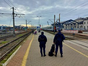 Policjanci na peronie kolejowym