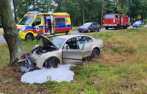 Rozbita Skoda stoi koło drzewa