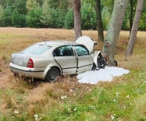 Uszkodzona Skoda stoi koło drzewa