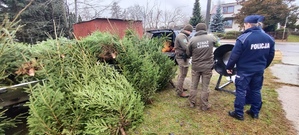 Policjanci i funkcjonariusze na targowisku kontrolują sprzedaż choinek