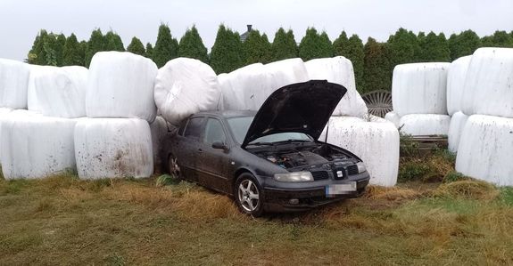 Samochód marki Seat stoi na trawiastym podłożu