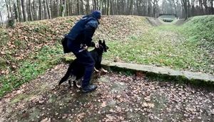 policyjny pies podczas szkolenia w lesie