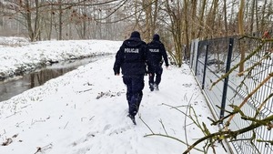 Policjanci patrolują ogródki działkowe.