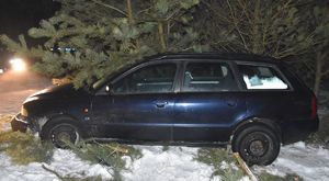 Audi stoi przy drzewie