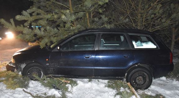 Audi stoi przy drzewie