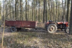 ciągnik rolniczy wraz z przyczepą w lesie na przyczepie pocięte drewno