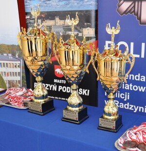 Puchary XIII Mistrzostw garnizonu lubelskiego w piłce siatkowej